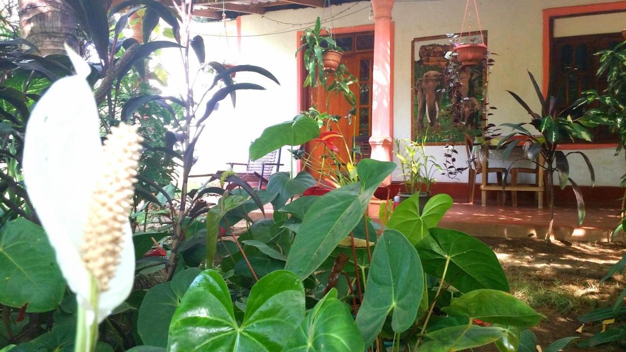 Sigiri Picaso Home Stay Sigiriya Exterior foto